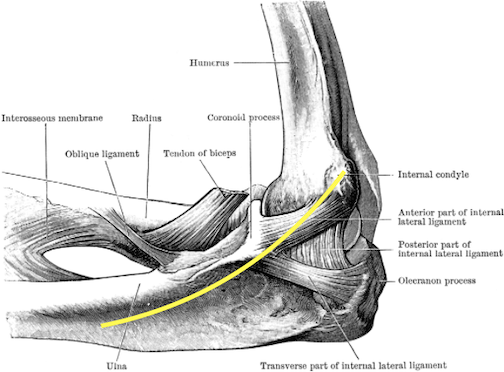 cubital tunnel ulnar nerve