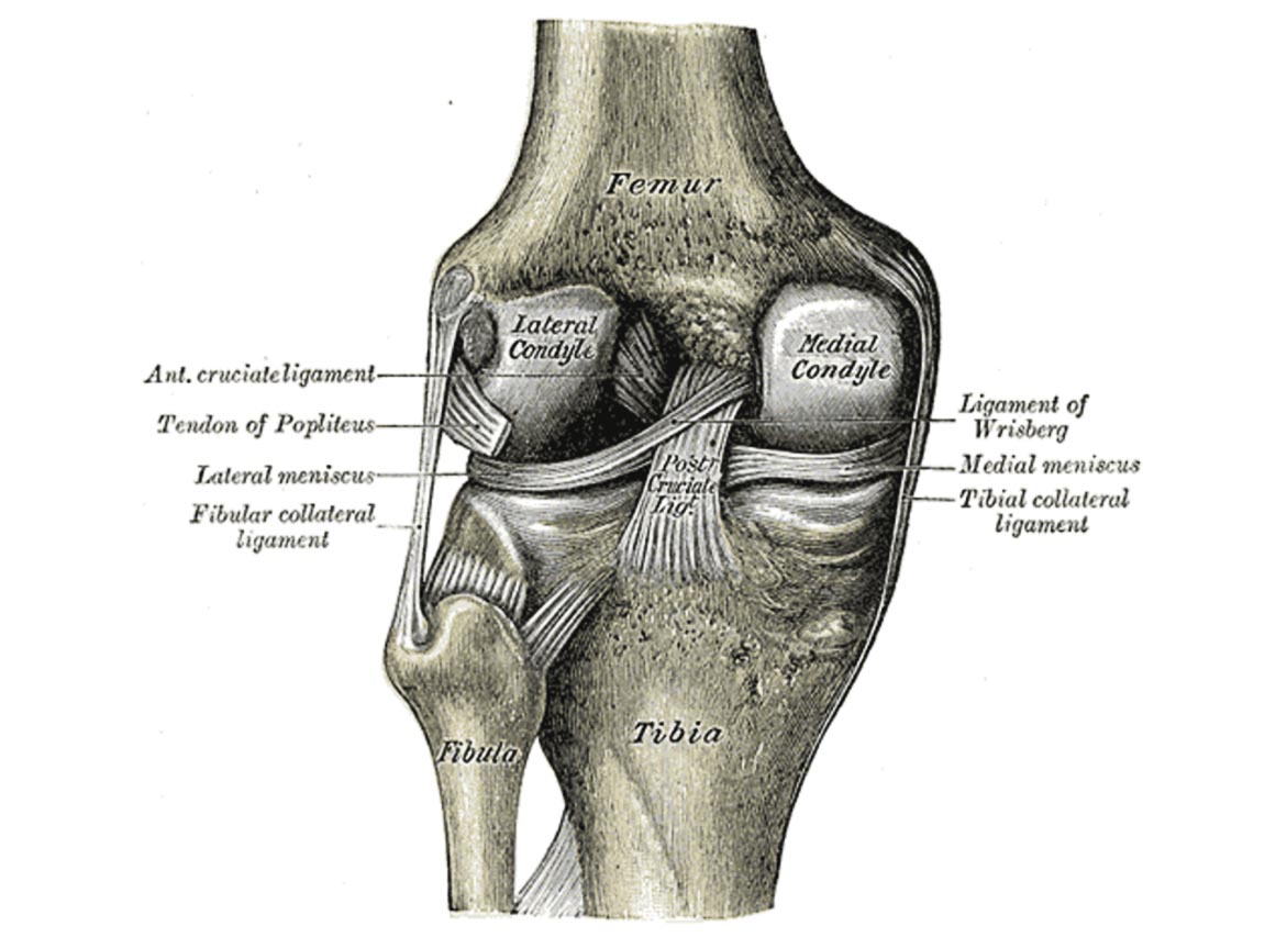 Cartilage injury Running