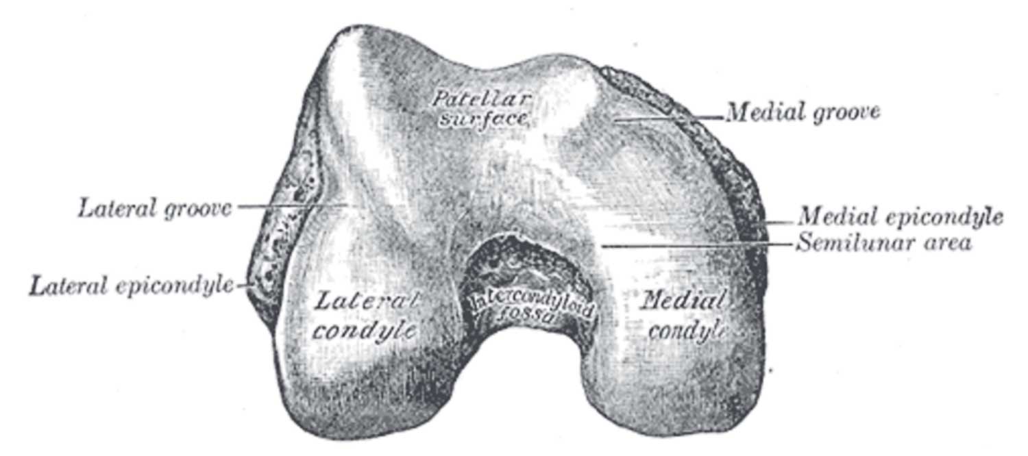 Bone injury Running