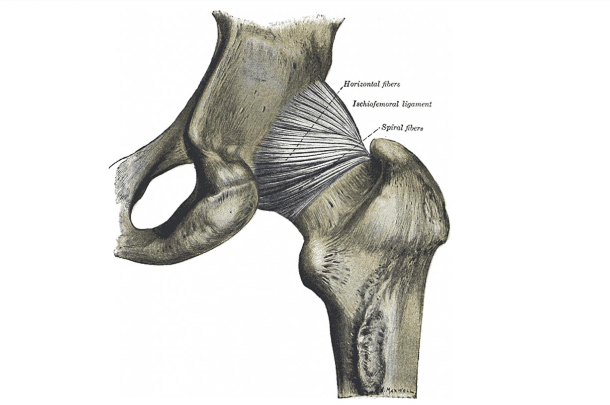 Joint injury Running