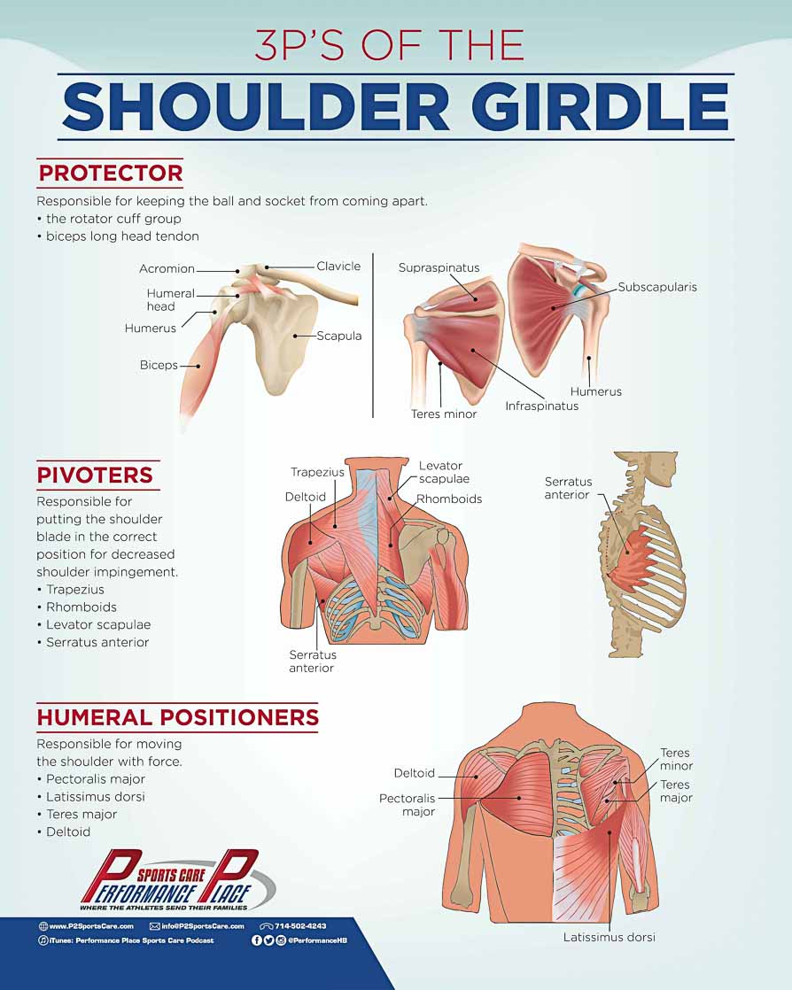 Shoulder 3Ps Poster