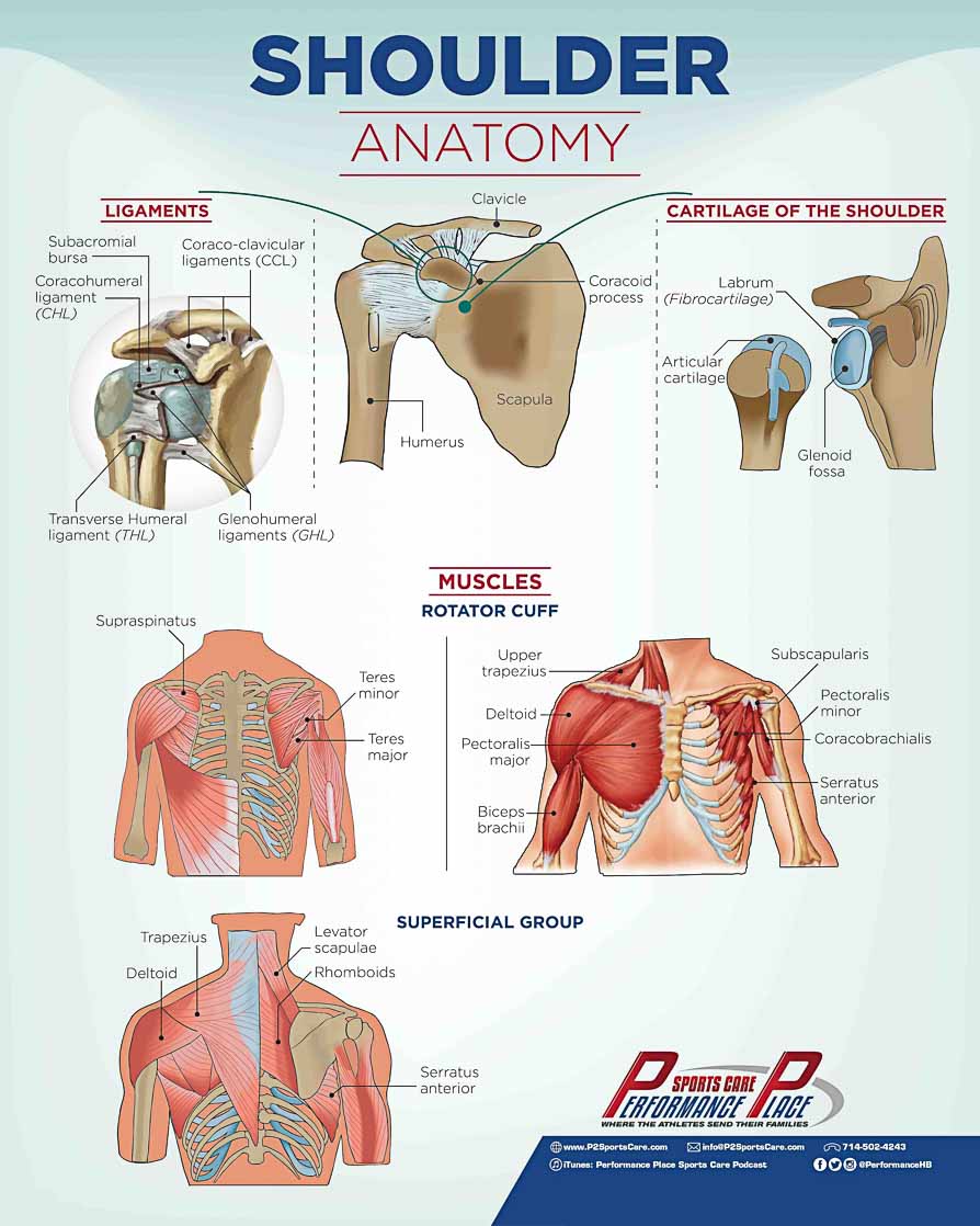 9 Shoulder Pain Stats Every Pitcher Should Know