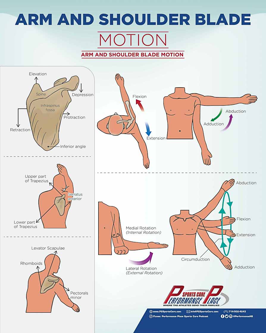 Shoulder Diagnosis Chart