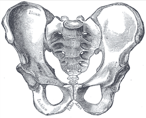 Bones Sports Hernia