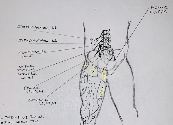 Sports Hernia