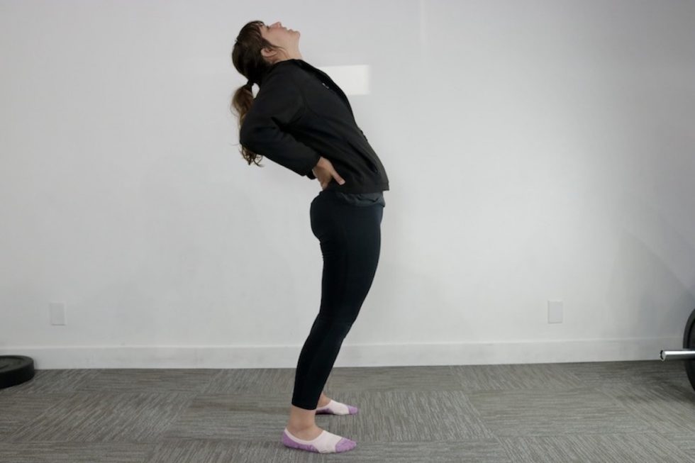 Hitting It From The Back Sex