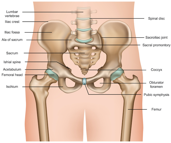 Bones Sports Hernia
