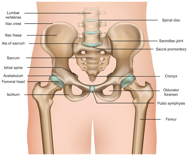 12 Truths About Sports Hernias Your Doctor Didn't Tell You - Performance  Place Sports Care